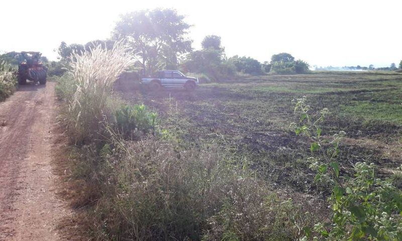 ขายที่ดินนา อำเภอร้องกวาง จังหวัดแพร่