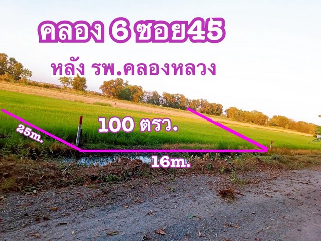 ที่ดิน 100 ตรว.คลอง6 ซอย45 แหล่งชุมชน วิวท้องนา ใกล้ความเจริญ