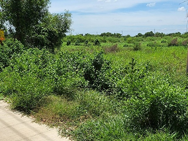 พื้นที่ดิน - 0 Rai 0 ngan 100 ตร.ว. 970000 THB น่าอยู่ใกล้สิ่งอำนวยความสดวก ปทุมธานี