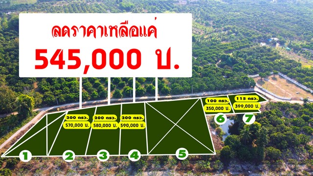 ขายที่ดินจัดสรร เริ่ม 100ตรว. 350,000บ. ฟรีโอน วิวดอย สาธารณูปโภค ต.มะขามหลวง อ.สันป่าตอง เชียงใหม่