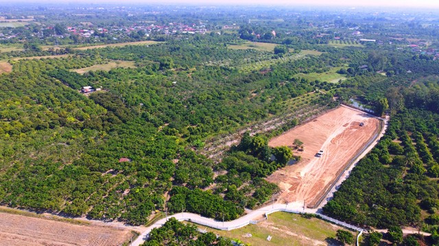 ขายที่ดินจัดสรร เริ่ม 100ตรว. 350,000บ. ฟรีโอน วิวดอย สาธารณูปโภค ต.มะขามหลวง อ.สันป่าตอง เชียงใหม่