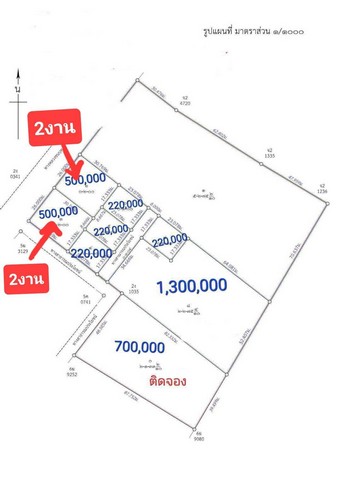 ขายที่ดินเปล่า 2 งาน บ้านป่า อ.เมืองพิษณุโลก ที่ดินสร้างบ้านใกล้เมือง