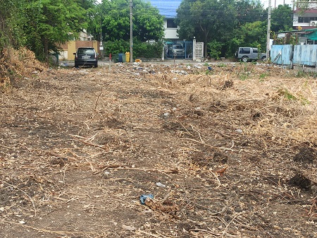 ที่ดินแบ่งขาย200ตรว. พระราม2 ถนนธนบุรี-ปากท่อ บางกระดี่ บางขุนเทียน กรุงเทพ