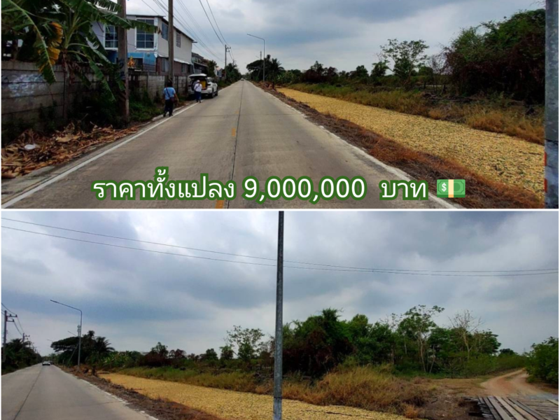 ขายด่วน!! ที่ดิน 4 ไร่ครึ่งถนนคอนกรีตสาธารณะ ไฟฟ้า 3 เฟสซอยข้าง ซีพีแรม อ.ลาดหลุมแก้ว จ.ปทุมธานี 095-879-4465