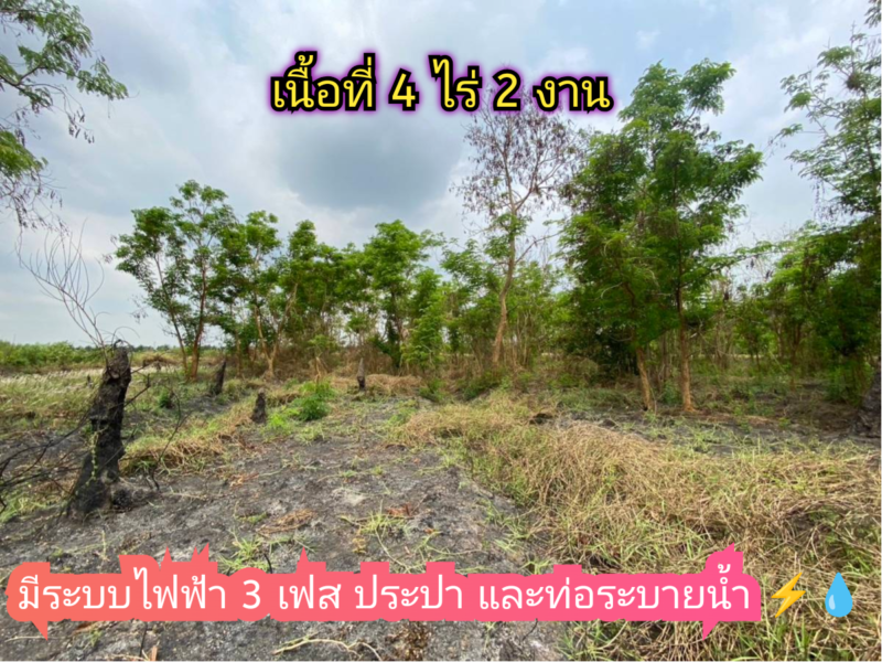 ขายด่วน!! ที่ดิน 4 ไร่ครึ่งถนนคอนกรีตสาธารณะ ไฟฟ้า 3 เฟสซอยข้าง ซีพีแรม อ.ลาดหลุมแก้ว จ.ปทุมธานี 095-879-4465