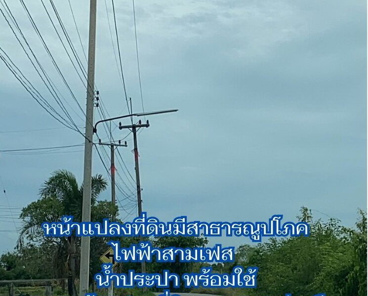 ขายที่ติดคลอง 28 ไร่ ต.บ้านโพธิ์ อ.บ้านโพธิ์ จ.ฉะเชิงเทรา