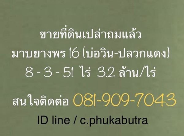 ขายที่ดิน ขนาด 8 ไร่ 3 งาน 51 ตร.ว. จ.ระยอง อ.ปลวกแดง มาบยางพร16 ถมแล้ว โทร 081-9097043