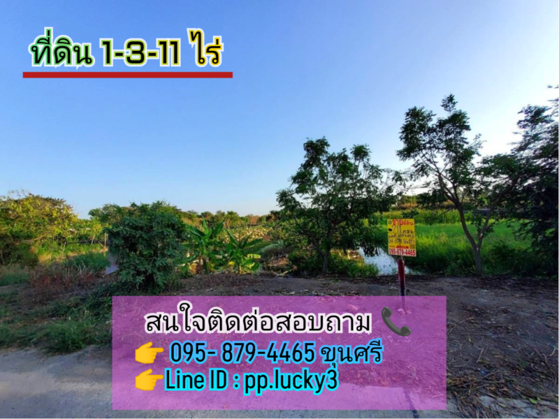 ขายถูกที่สุด!! ที่ดินไทรใหญ่ 711 ตารางวา ติดถนนคอนกรีตสาธารณะ ถนน นบ.3015 อ.ไทรน้อย จ.นนทบุรี👉095-879-4465