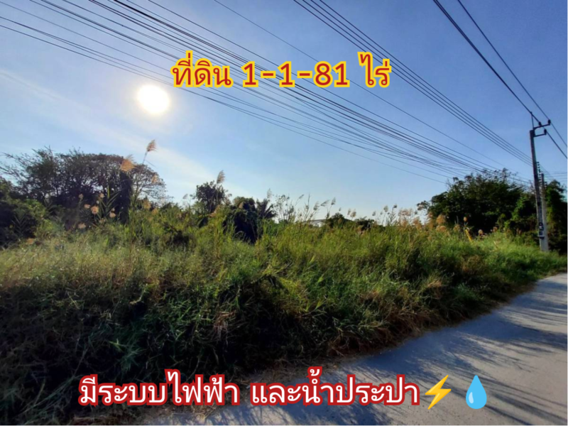 👉โปรฯร้อนๆลดทันที่ 2 ล้านบาท++ ที่ดินบ้านใหม่ 581 ตารางวา ติดถนนลาดยางถนน เคหะ-บ้านใหม่ 21 อ.บางใหญ่ จ.นนทบุรี 095-879-4465