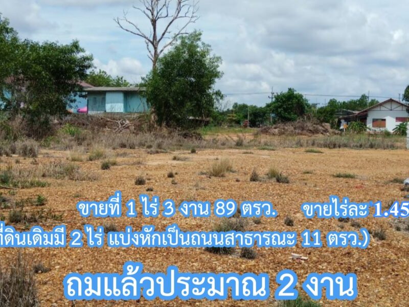 ขายที่ถมแล้ว ใกล้โรงพักพนม ผังสีส้ม 2 ไร่ ต.ท่าถ่าน อ.พนมสารคาม จ.ฉะเชิงเทรา