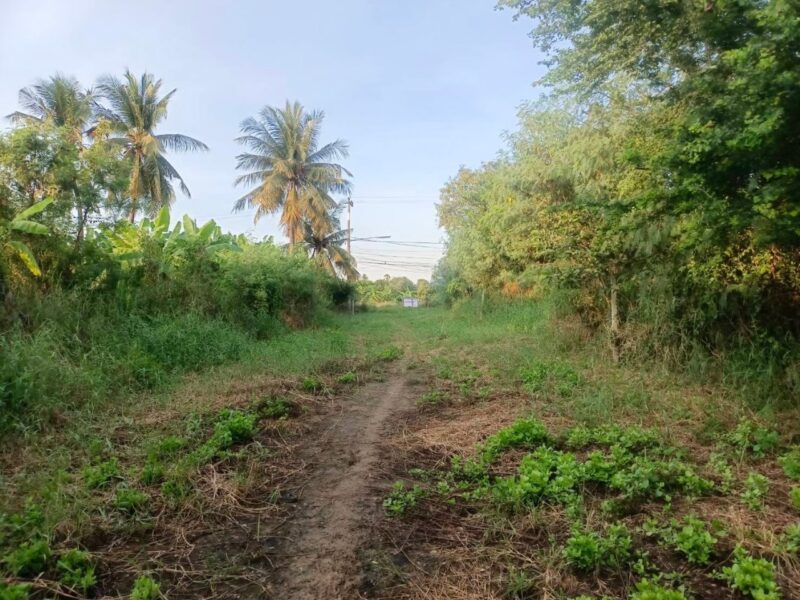 ที่ดินแปลงสวย จังหวัดนครปฐม