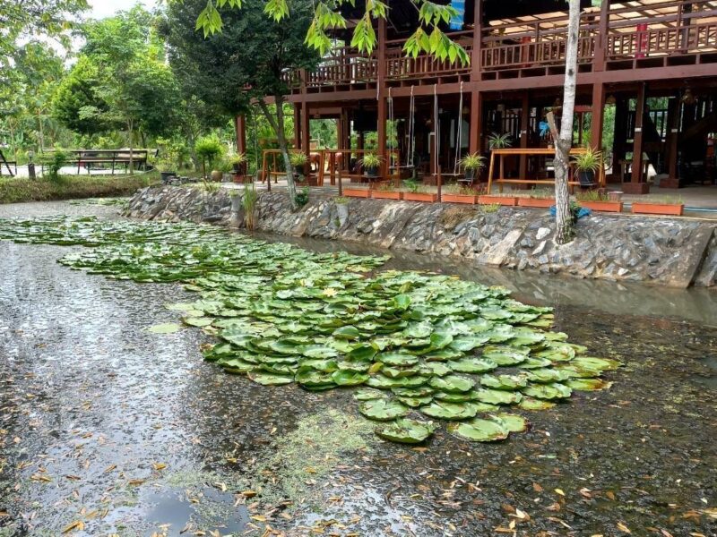 ขายที่ดินพร้อมบ้านเรือนไทยประยุกต์ เนื้อที่ 7-3-70 ไร่ ต.หมอนนาง อ.พนัสนิคม จ.ชลบุรี