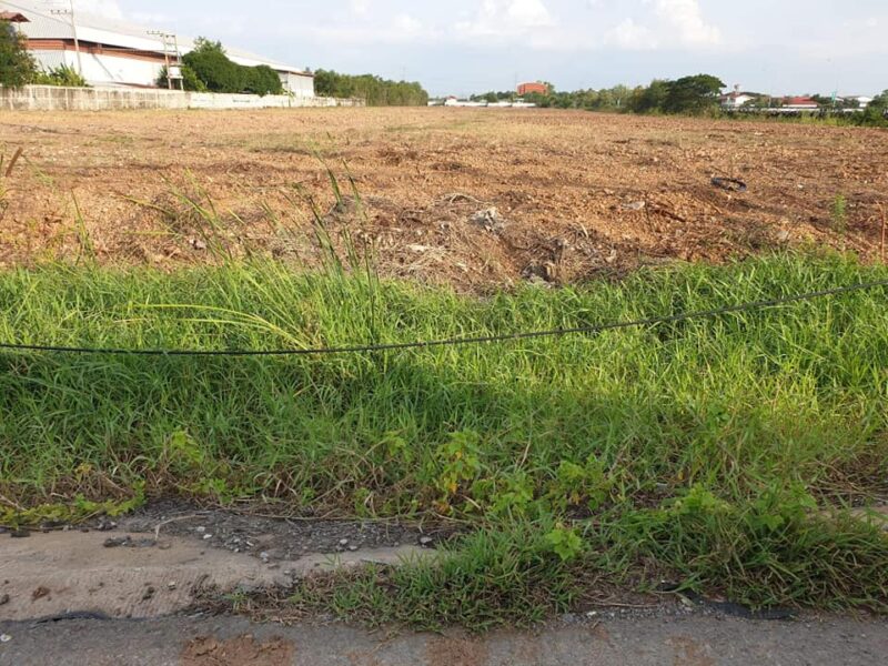 ขายที่ดินติดถนนพหลโยธิน พิกัดวังน้อย อยุธยา