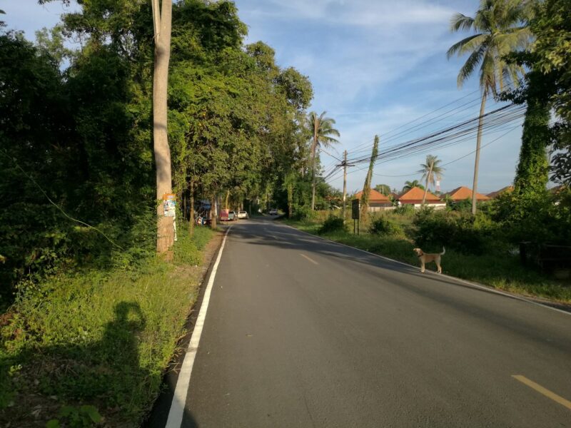 ประการศขายที่ดินด่วนในเขตอำเภอเมืองจังหวัดประจวบ