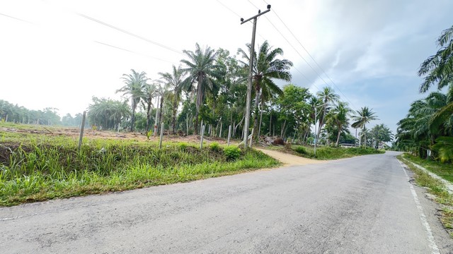 ทำเลดีงามเจ้าของเสนอเงื่อนไขพิเศษสุดๆ ที่ดิน อ.บางสะพานน้อย จ.ประจวบคีรีขันธ์