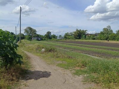 พื้นที่ดิน ที่ดิน บางเดื่อ ใกล้ถนนราชพฤกษ์ ตัดใหม่ ปทุมธานี ไม่ไกลจาก ใกล้ถนนราชพฤกษ์ ตัดใหม่ ปทุมธานี 8000000 THAI BAHT พื้นที่ = 4576 ตาราง-วา สวยมาก อยู่ใกล้ความเจริญ ด้านหลังติดคลอง อ้อมล้อมธรรมชาติ