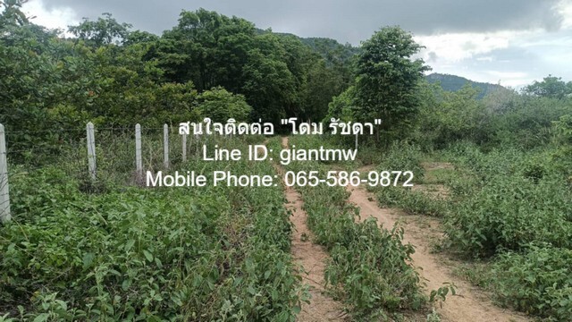 ที่ดิน ที่ดิน หัวหิน จ.ประจวบคีรีขันธ์ พ.ท. 0 ตรว. 0 NGAN 1 ไร่ 2500000 THAI BAHT ใกล้ ห่างถนนเพชรเกษม 4.8 กม. (ทางหลวงหมายเลข 4) ราคาดีเยี่ยม ประจวบคีรีขันธ์