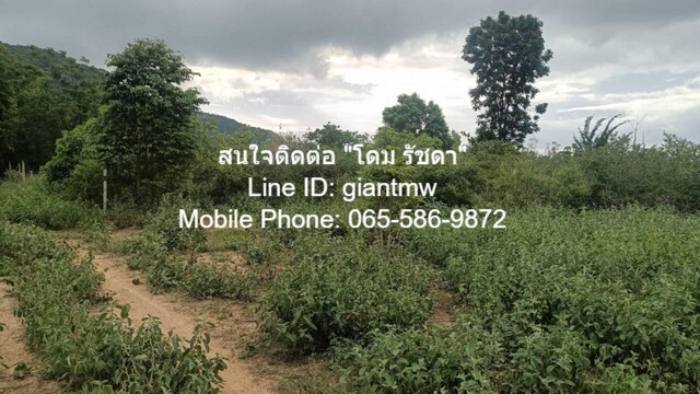 ที่ดิน ที่ดิน หัวหิน จ.ประจวบคีรีขันธ์ พ.ท. 0 ตรว. 0 NGAN 1 ไร่ 2500000 THAI BAHT ใกล้ ห่างถนนเพชรเกษม 4.8 กม. (ทางหลวงหมายเลข 4) ราคาดีเยี่ยม ประจวบคีรีขันธ์