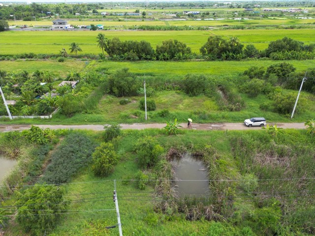 ขายทีดิน ซอยลำลูกกา196 หนองจอกฝั่งประชาสำราญ อำเภอลำลูกกา จ ปทุมธานี เนื้่อที่ 400 ตรว. ทำเลดี ที่ดินสวย น้ำ ไฟ พร้อม