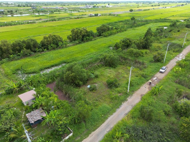 ขายทีดิน ซอยลำลูกกา196 หนองจอกฝั่งประชาสำราญ อำเภอลำลูกกา จ ปทุมธานี เนื้่อที่ 400 ตรว. ทำเลดี ที่ดินสวย น้ำ ไฟ พร้อม