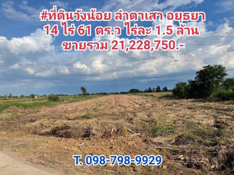 #ที่ดินวังน้อย อยุธยา (ใกล้ตลาดสี่ขวาพัฒนา)14 ไร่ 61 ตร.ว ไร่ละ 1.5 ล้าน