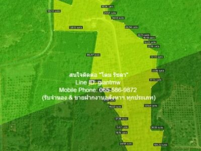 ขายที่ดินสวนผลไม้ปลอดสารพิษ (Organic) อ.ประจันตคาม จ.ปราจีนบุรี 57-0-90.4 ไร่, ราคา 57 ล้านบาท