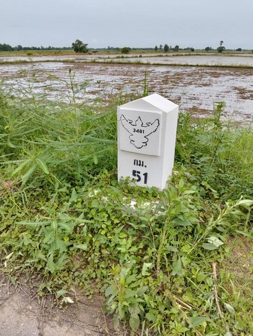 ขายที่ดินทำเลดีเจ้าของขายเอง ตำบลบางพลวง อำเภอ บ้านสร้าง จังหวัดปราจีนบุรี