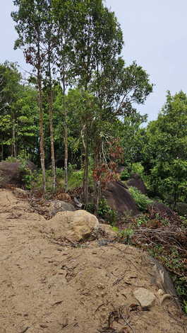 ขายที่ดินเปล่า วิวภูเขา วิวทะเล เกาะพะงัน จ.สุราษฎร์ธานี