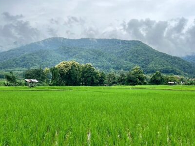 ที่ดิน...วิวดอยภูคา...ใกล้แหล่งชุมชน...ใกล้แหล่งท่องเที่ยว