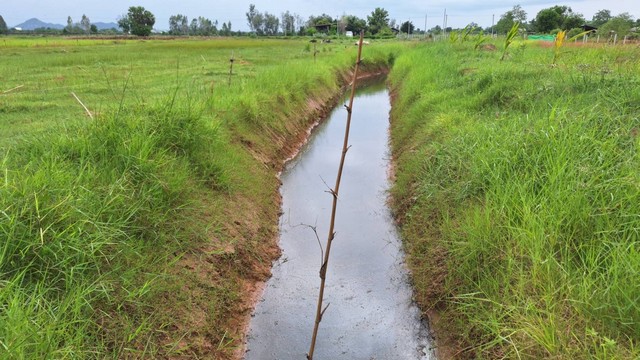 ขายด่วน ที่ดินสวยเเปลงเล็ก ต.ปากช่อง อ.จอมบึง จ.ราชบุรี