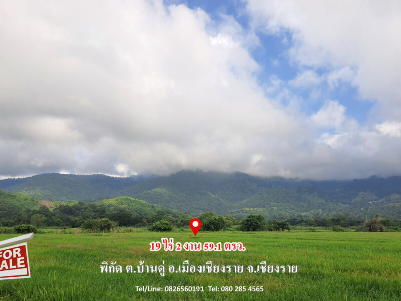 ขาย ที่ดิน เชียงราย วิวภูเขา อากาศบริสุทธิ์ 19 ไร่ 2 งาน 59.1 ตรว ลดราคาพิเศษ ถูกสุดสุด