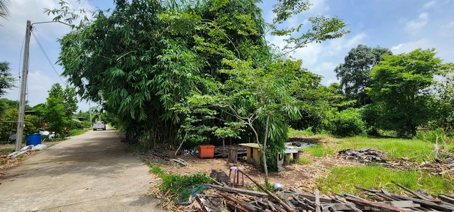 ขายที่ดินคลอง 12 หนองเสือ 217 ตรว ติดถนนคอนกรีต เหมาะปลูกบ้านสวน ทำเกษตรพอเพียง ยามเกษียณได้ อยู่ใกล้แหล่งชุมชน