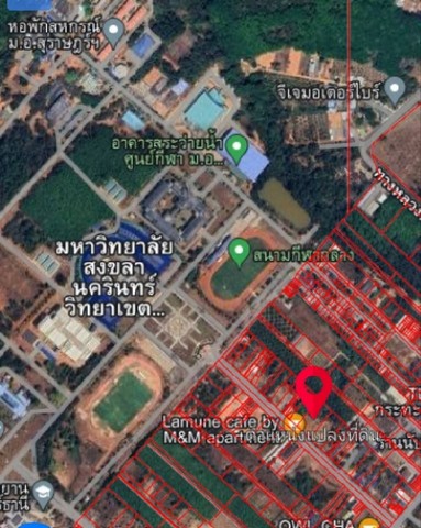 ขายที่ดิน 1-2-55 ไร่ ใกล้ มอ.วิทยาเขตสุราษฎร์ธานี เมืองสุราษฎร์ธานี ZCP081