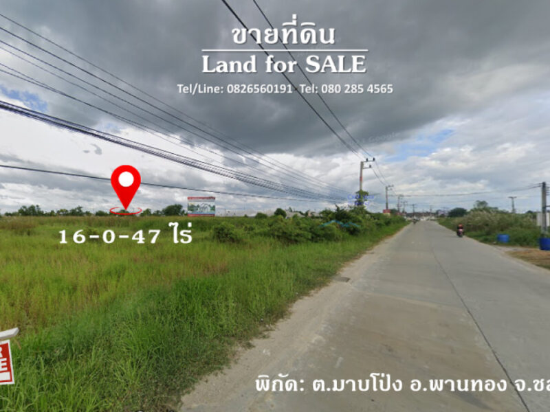 ขาย ที่ดิน สำหรับทำหมู่บ้านจัดสรร 16 ไร่ 47 ตรว ติดอยู่กับหมู่บ้าน เดอะแกรนด์ อมตะ ชลบุรี