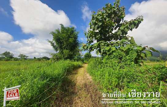 ขาย ที่ดิน เชียงราย วิวภูเขา อากาศบริสุทธิ์ 19 ไร่ 2 งาน 59.1 ตรว ลดราคาพิเศษ ถูกสุดสุด