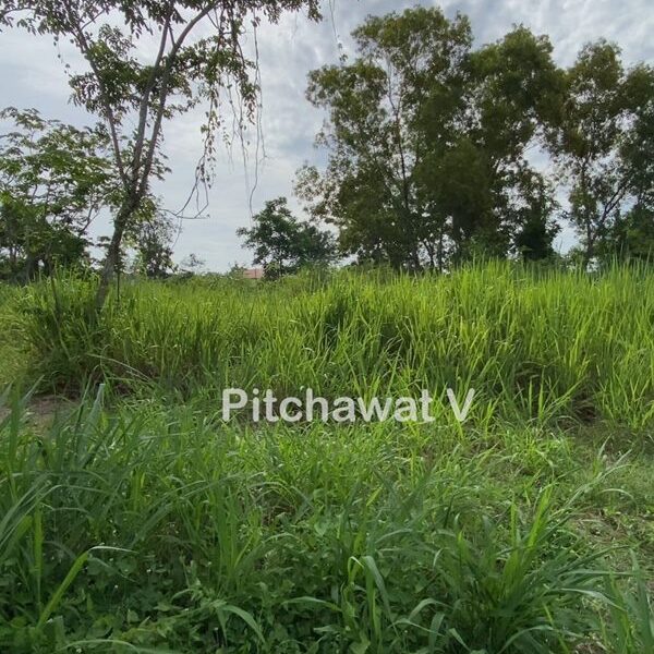 ขายที่ดิน 450 ตร.ว. หมู่บ้านปัญญา บางพระ ทำเลทอง อ.ศรีราชา จ.ชลบุรี เหมาะสร้างบ้านอยู่อาศัย โทร 063-469-5592