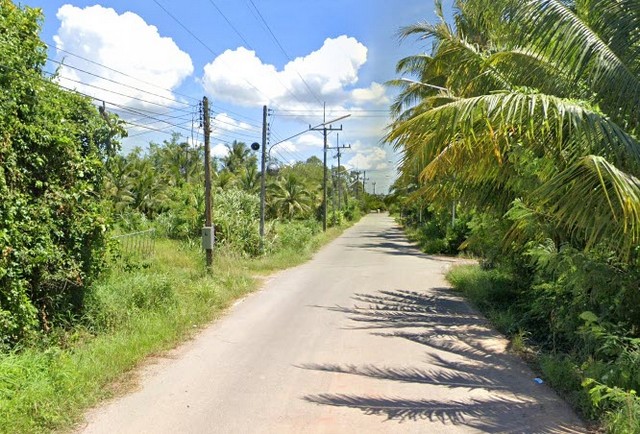 พื้นที่ดิน ที่ดิน พร้อมสวนเกษตร (สวนยาง+มะพร้าว) ต.ชัยบุรี อ.เมืองพัทลุง จ.พัทลุง 7 ไร่ 1 งาน 88 ตารางวา ใกล้ วัดวิหารสูง, วัดมะกอกเหนือ และโรงเรียนวัดมะกอกใต้ ราคาพิเศษ