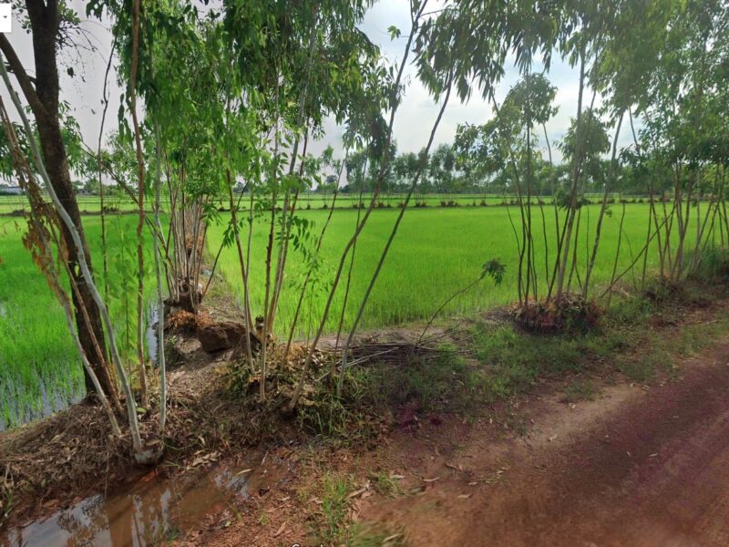 ที่ดิน เปล่า ใกล้เมือง เดชอุดม อบุลฯ ราคาดี น่าสนใจ