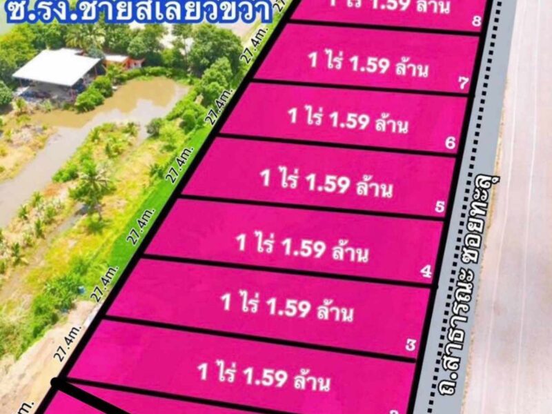 #ที่ดินทำเลดี ท้องมังกรทอง #ที่ดินคลอง 6 (ใกล้ซอยคลองหกตะวันตก47) คลองหลวง ปทุมธานี (หลัง รง. ชายสี่บะหมี่เกี๊ยว)