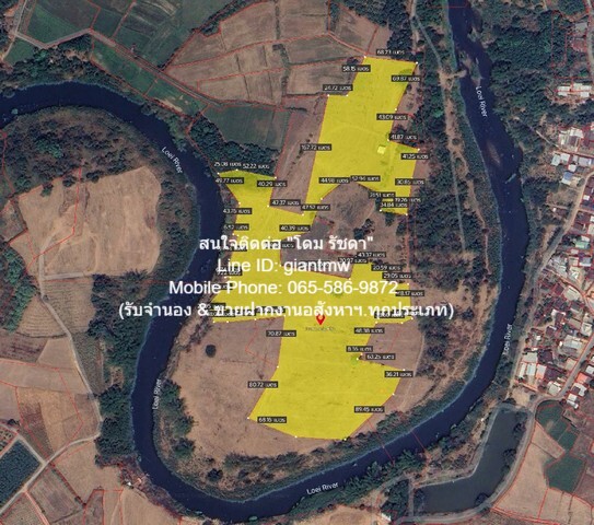พื้นที่ดิน ขายที่ดินไร่อ้อย เนื้อที่ 45-0-31.9 ไร่ ติดแม่น้ำเลย อ.เมืองเลย จ.เลย, ราคา 18.7 ล้านบาท 18700000 บ. พื้นที่ = 47 ไร่ 0 Ngan 32 ตารางวา ทำเลดีๆ