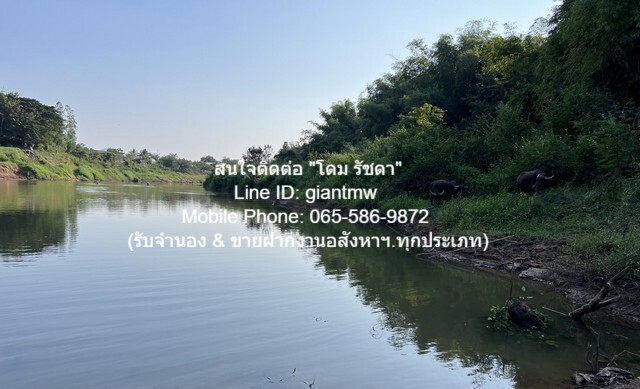 พื้นที่ดิน ขายที่ดินไร่อ้อย เนื้อที่ 45-0-31.9 ไร่ ติดแม่น้ำเลย อ.เมืองเลย จ.เลย, ราคา 18.7 ล้านบาท 18700000 บ. พื้นที่ = 47 ไร่ 0 Ngan 32 ตารางวา ทำเลดีๆ