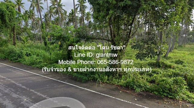 รหัส DHL-009.2 RENT ที่ดิน ืที่ดิน ทับสะแก จ.ประจวบคีรีขันธ์ 16000 ตารางวา 40000 B. ใกล้ อ่างเก็บน้ำบ้านทุ่งตาเค็ท เยี่ยม