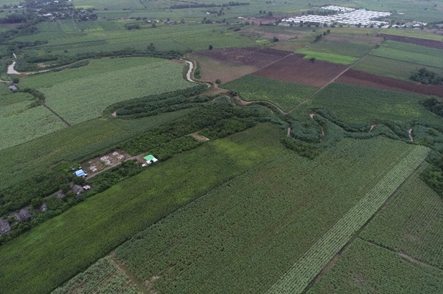 ขายที่ดินแปลงสวย ทำเลดี อำเภอวังม่วง จังหวัดสระบุรี (เจ้าของขายเอง)