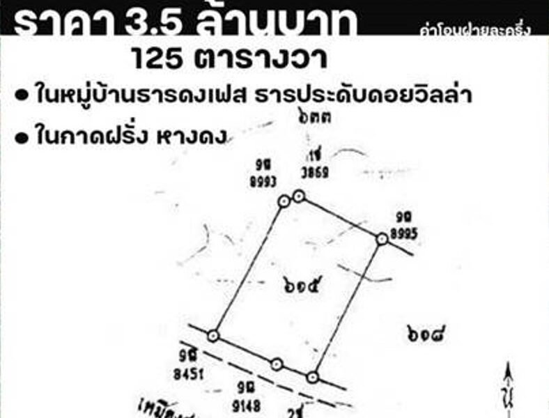 ขายที่ดิน 125ตรว. 3.6ลบ. หลังกาดฝรั่ง หมู่บ้านธารดงเฟส ต.บ้านแหวน อ.หางดง เชียงใหม่