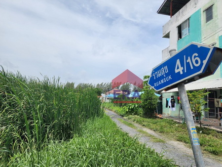 ที่ดิน ซอยร่วมสุข ต.บ้านใหม่ อ.เมืองปทุมธานี เข้าซอยมาเพียง 30 เมตร