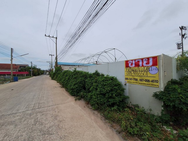 ขายที่ดินทำเลทอง แปลงหัวมุม 100 ตร.วา.ถนนกิจมณี ซอยโรงหมู ย่านล้ง โคกขาม สมุทรสาคร ZW445