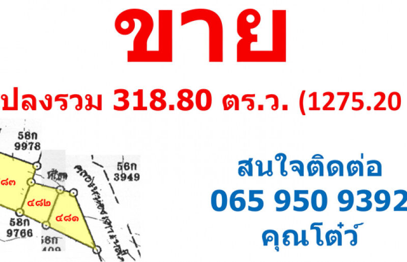 ขาย ที่ดิน ที่ดินจัดสรรคถูกต้องตามกฎหมาย-ครุฑแดง เขาค้อไฮแลนด์ซิต้ 3 งาน 18.8 ตรว โครงการจัดสรรคสวยงามแบบต่างประเทศ