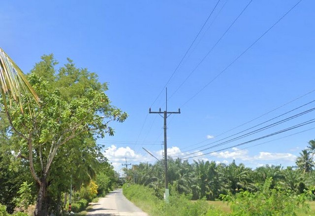 ประกาศขาย ที่ดิน ที่ดิน พร้อมสวนเกษตร (สวนยาง+มะพร้าว) ต.ชัยบุรี อ.เมืองพัทลุง จ.พัทลุง 5000000 บาท 7 ไร่ 1 Ngan 88 Square Wah ไม่ไกลจาก วัดวิหารสูง, วัดมะกอกเหนือ และโรงเรียนวัดมะกอกใต้ ONE PRICE!