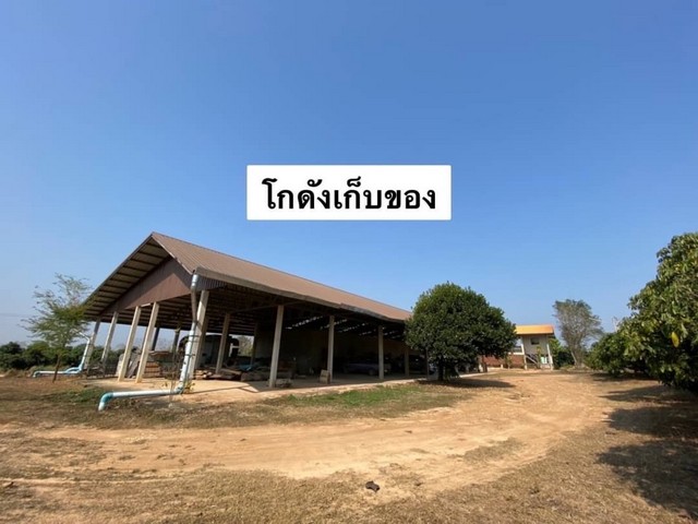 ขายที่ดินสวนลำไย เนื้อที่ 69-3-23 ไร่ จ.น่าน ต.ฝายแก้ว แถมที่ดินและอ่างเก็บน้ำ พร้อมระบบสาธารณูปโภค พลังงาน Solar cell(2)