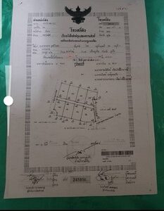 ขายที่ดินแปลงสวย อำเภอถลาง จังหวัดภูเก็ต เนื้อที่ 10 ไร่ 44 ตารางวา